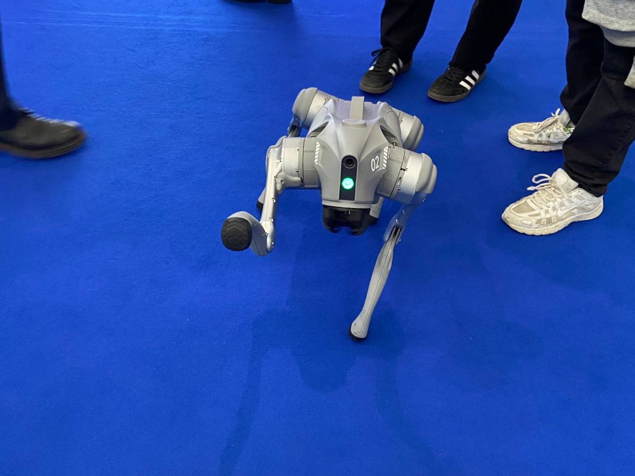 Фото: Артём Нагапетян / РБК Тюмень