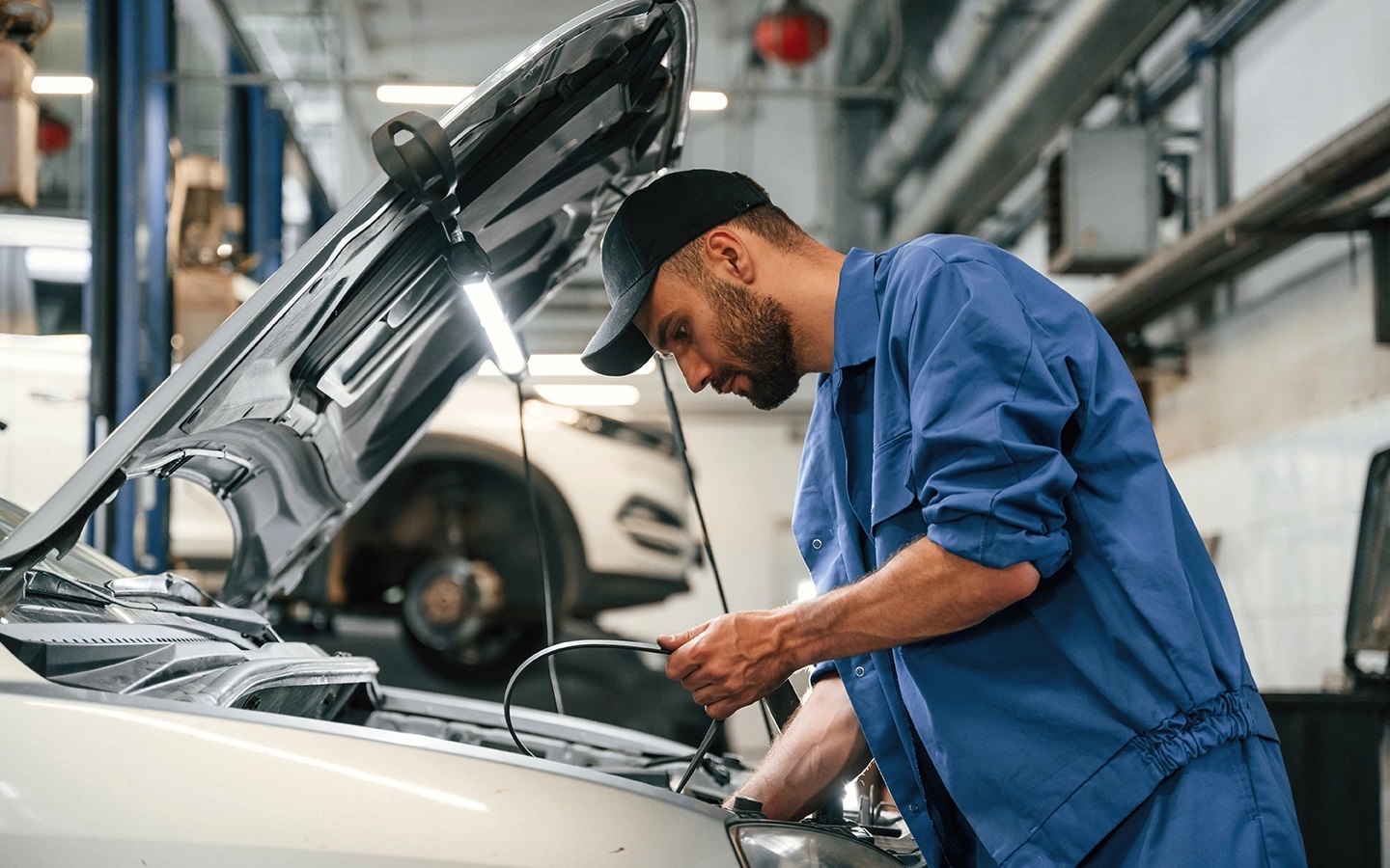 Фото: Standret / Shutterstock / FOTODOM