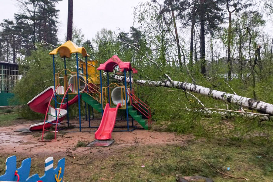 На фото:  последствия урагана в городе Жуковка, Брянская область.

Для ликвидации последствий стихии привлечены более 1000 человек и более 380 единиц техники, заявили в МЧС области