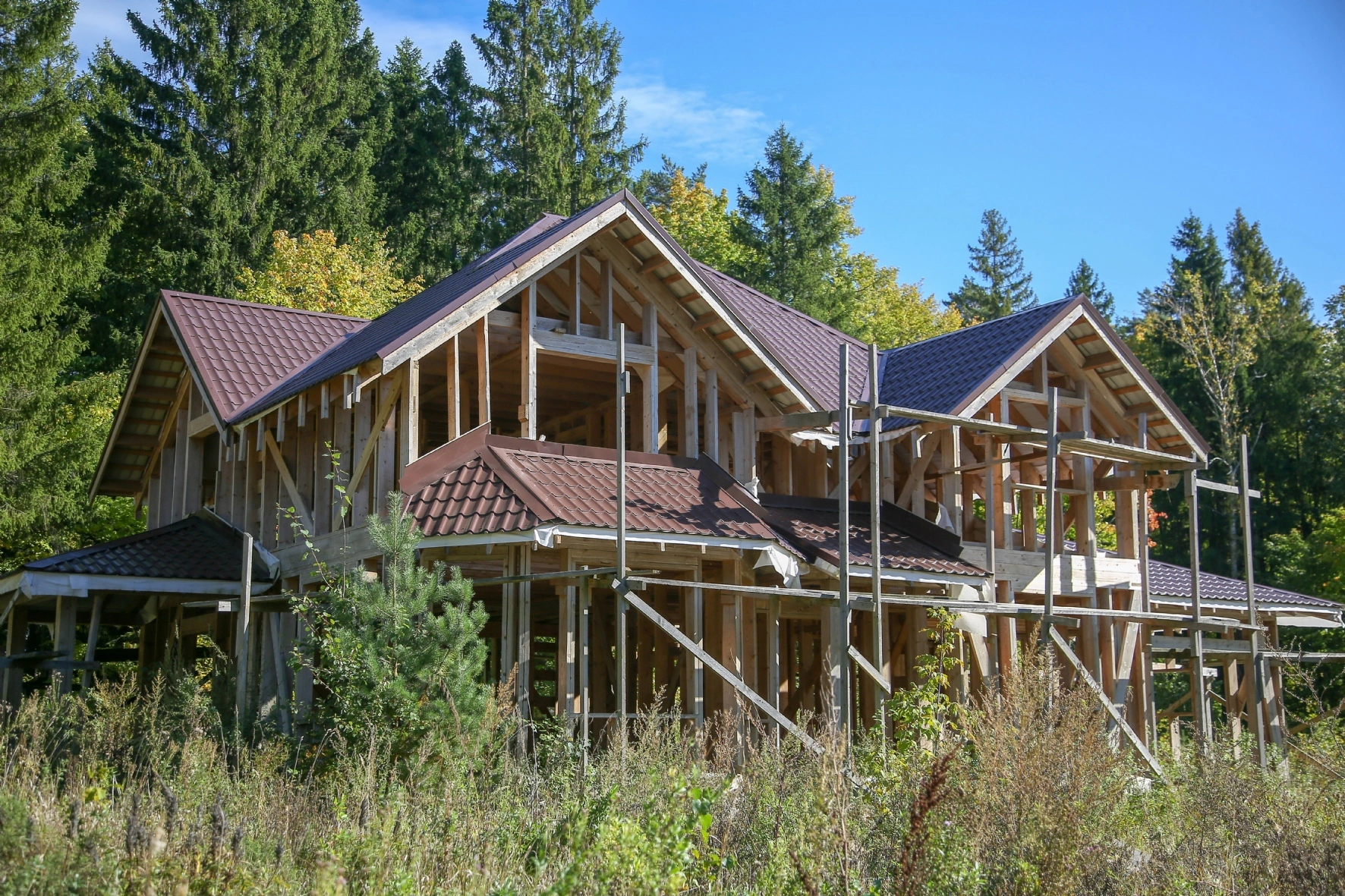 Ведомости/PhotoXPress.ru