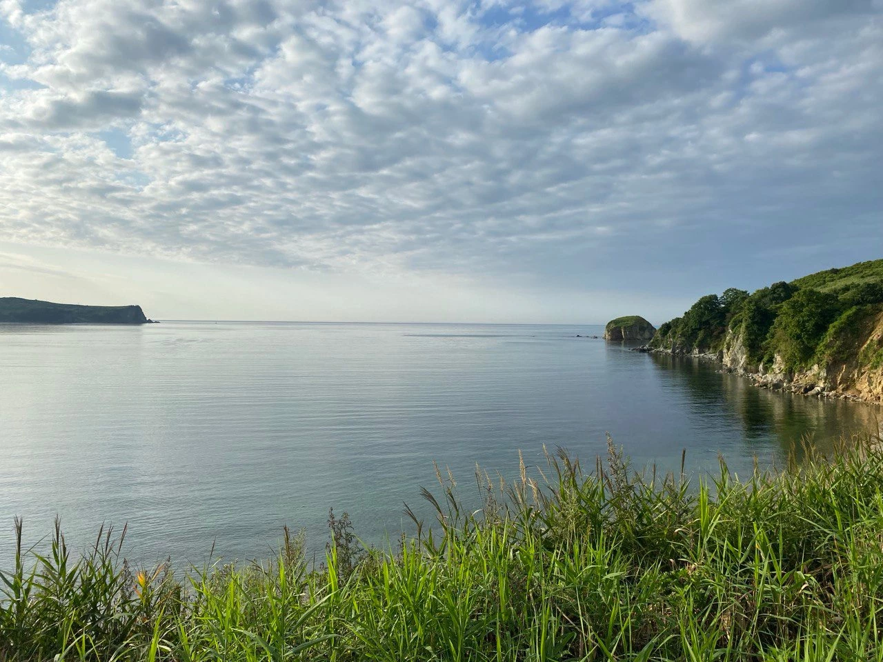 РБК Приморье