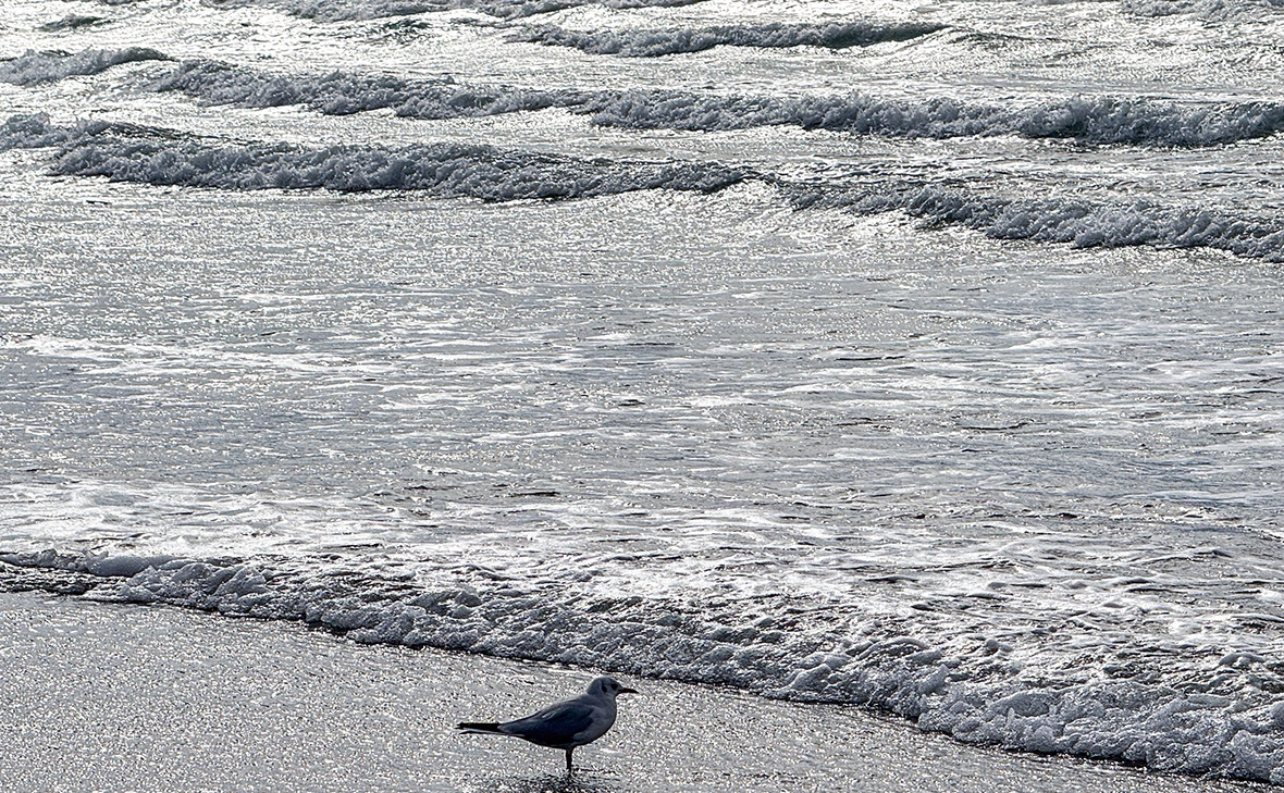 Илья Лазарев / ТАСС