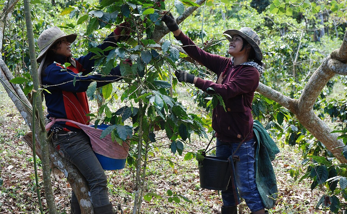 Thomas Schoch / Wikipedia