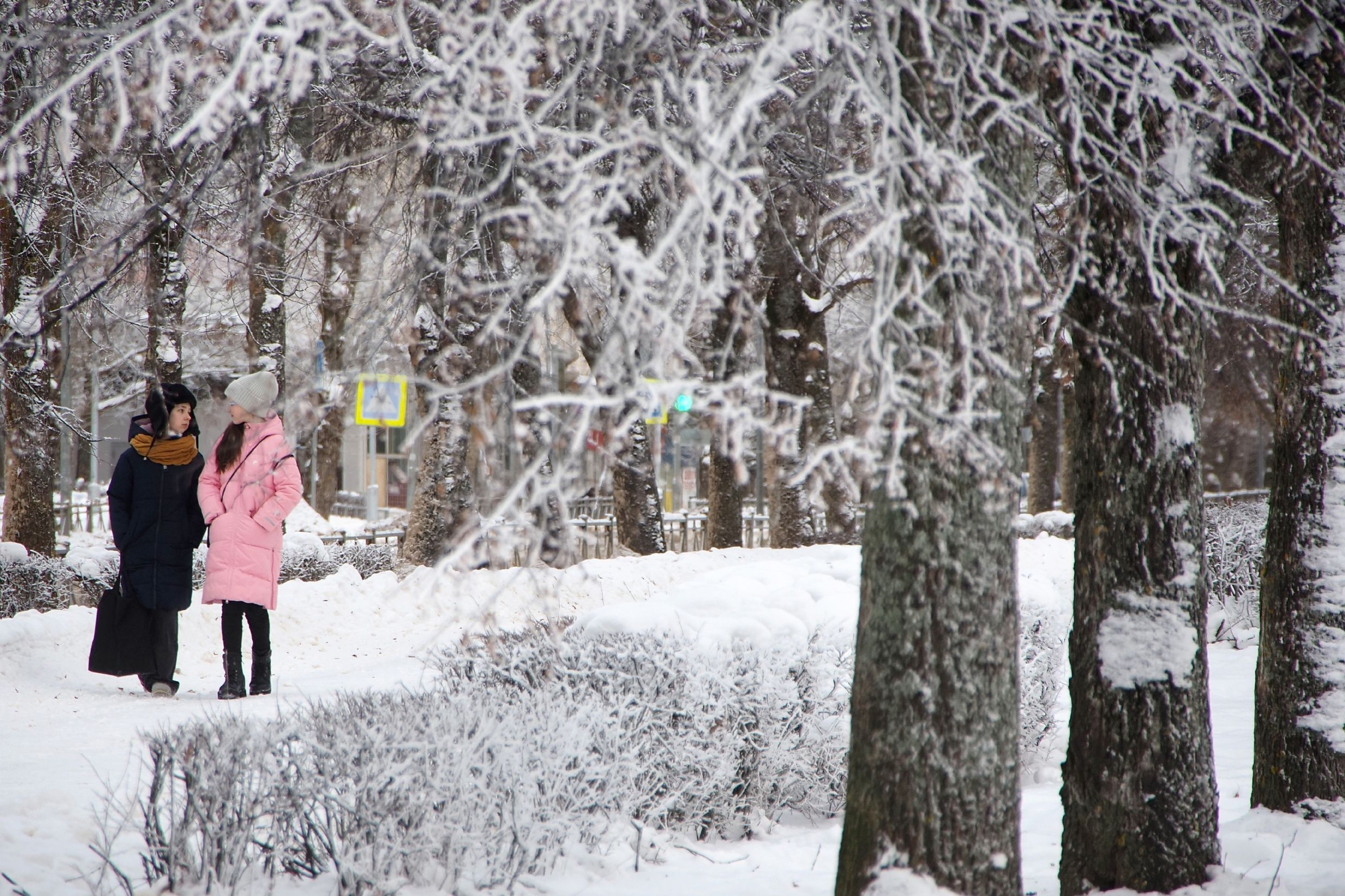 Фото: Храмовник Роман/PhotoXPress.ru