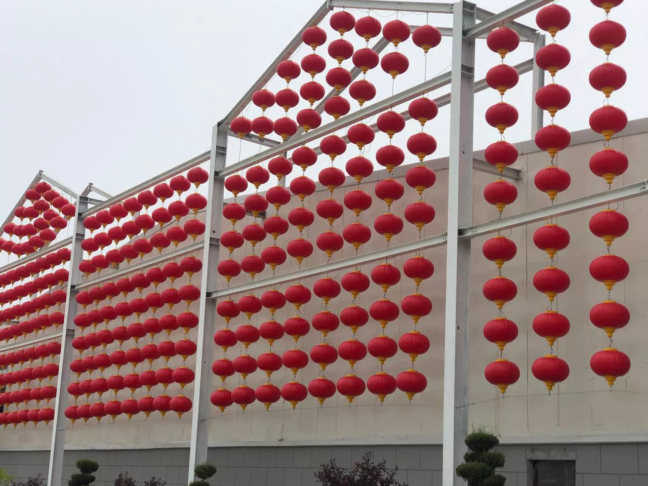 РБК Приморье 