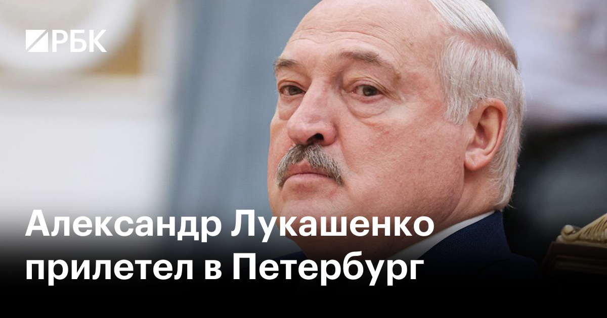 Белорусский оппозиционер заявил, что Лукашенко не поехал на саммит ЕАЭС из-за угрозы госпереворота