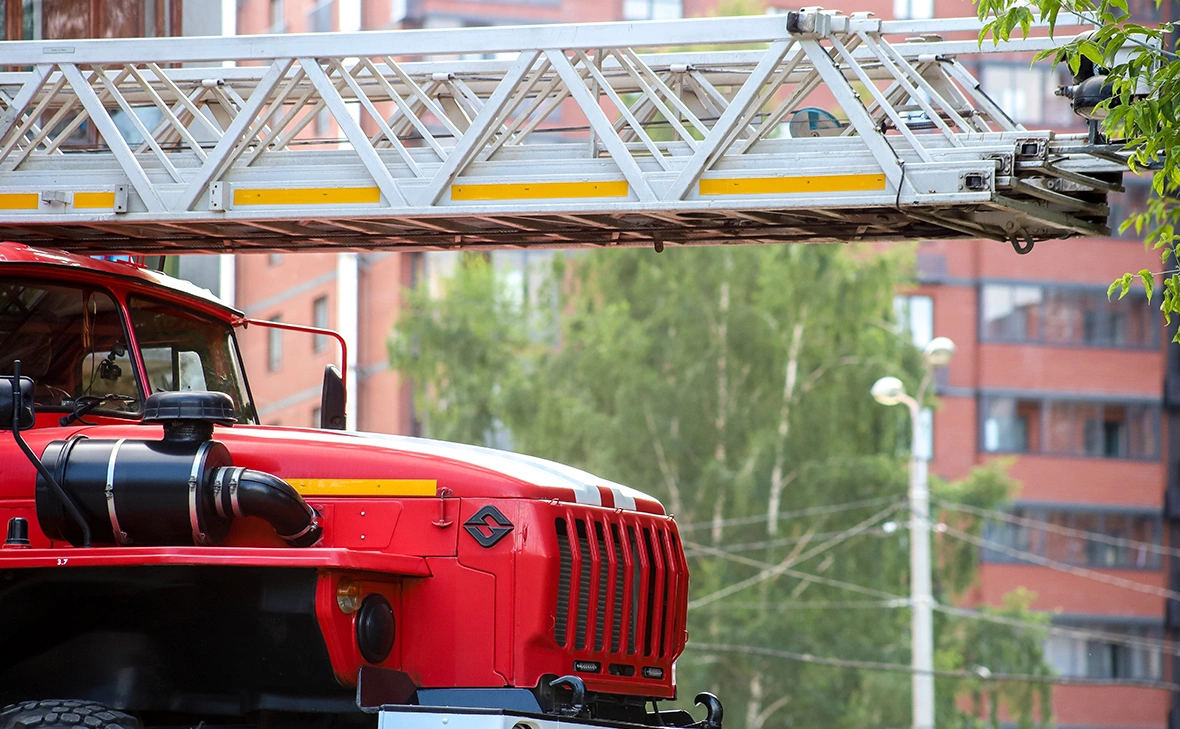 Елена Майорова / Global Look Press