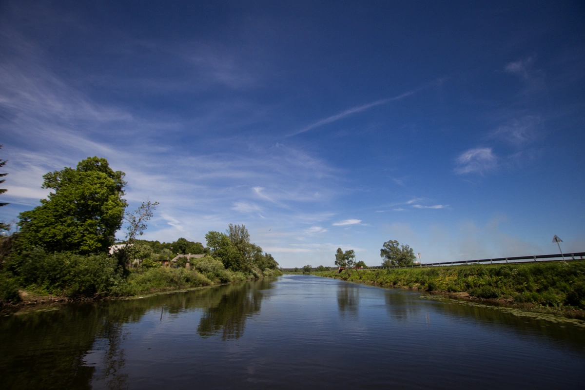 Александр Подгорчук