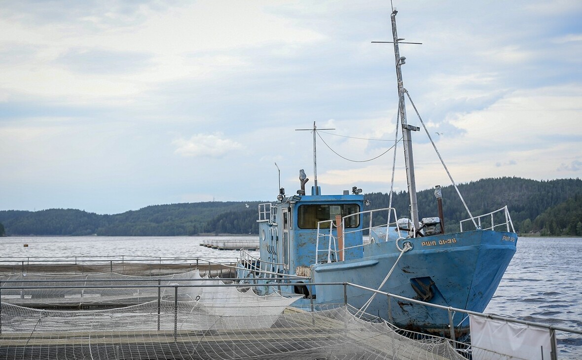 Фото: gov.karelia.ru