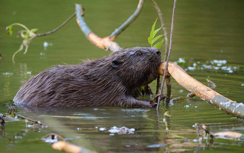 Фото: Shutterstock