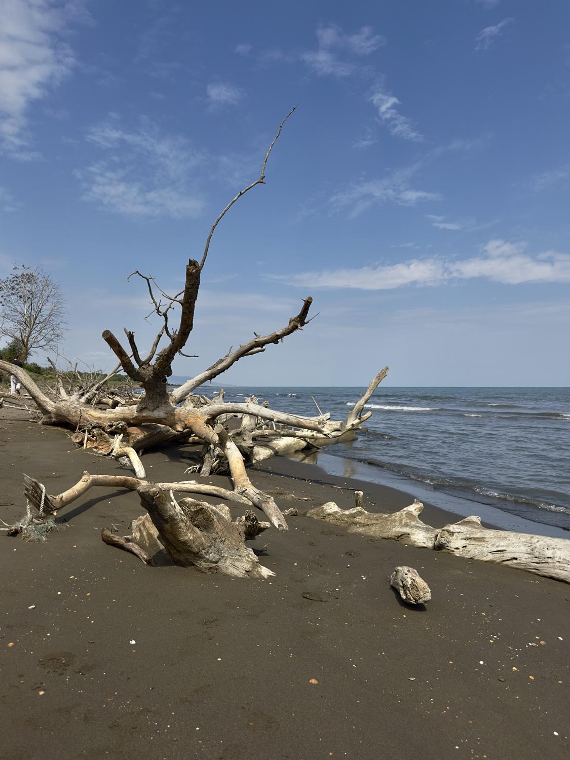 На побережье Каспийского моря