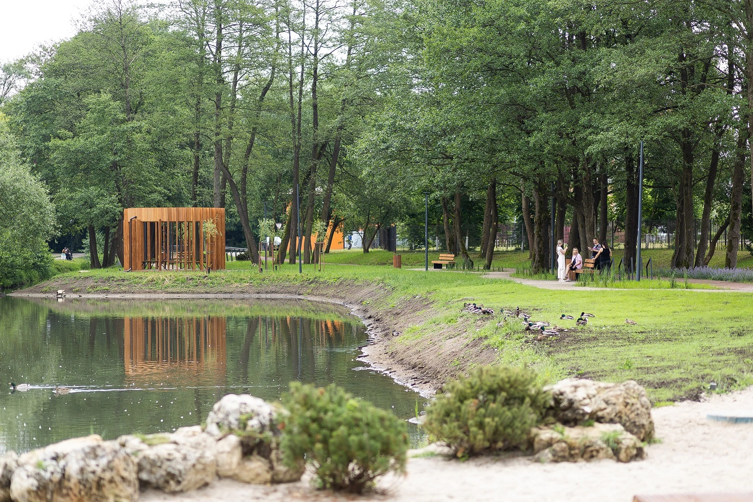 Александр Подгорчук