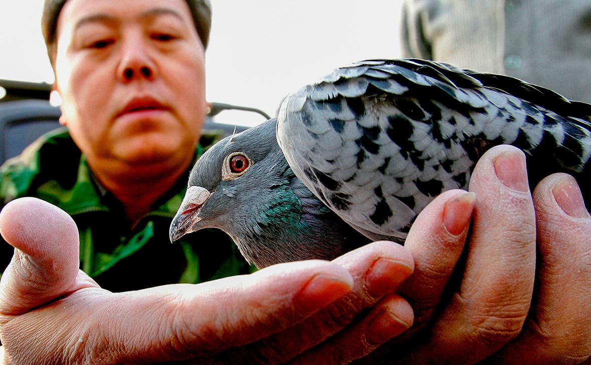 Фото: Guang Niu / Getty Images