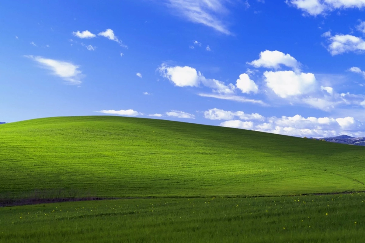 Стартовая заставка на экране Windows XP стала одним из самых узнаваемых изображений