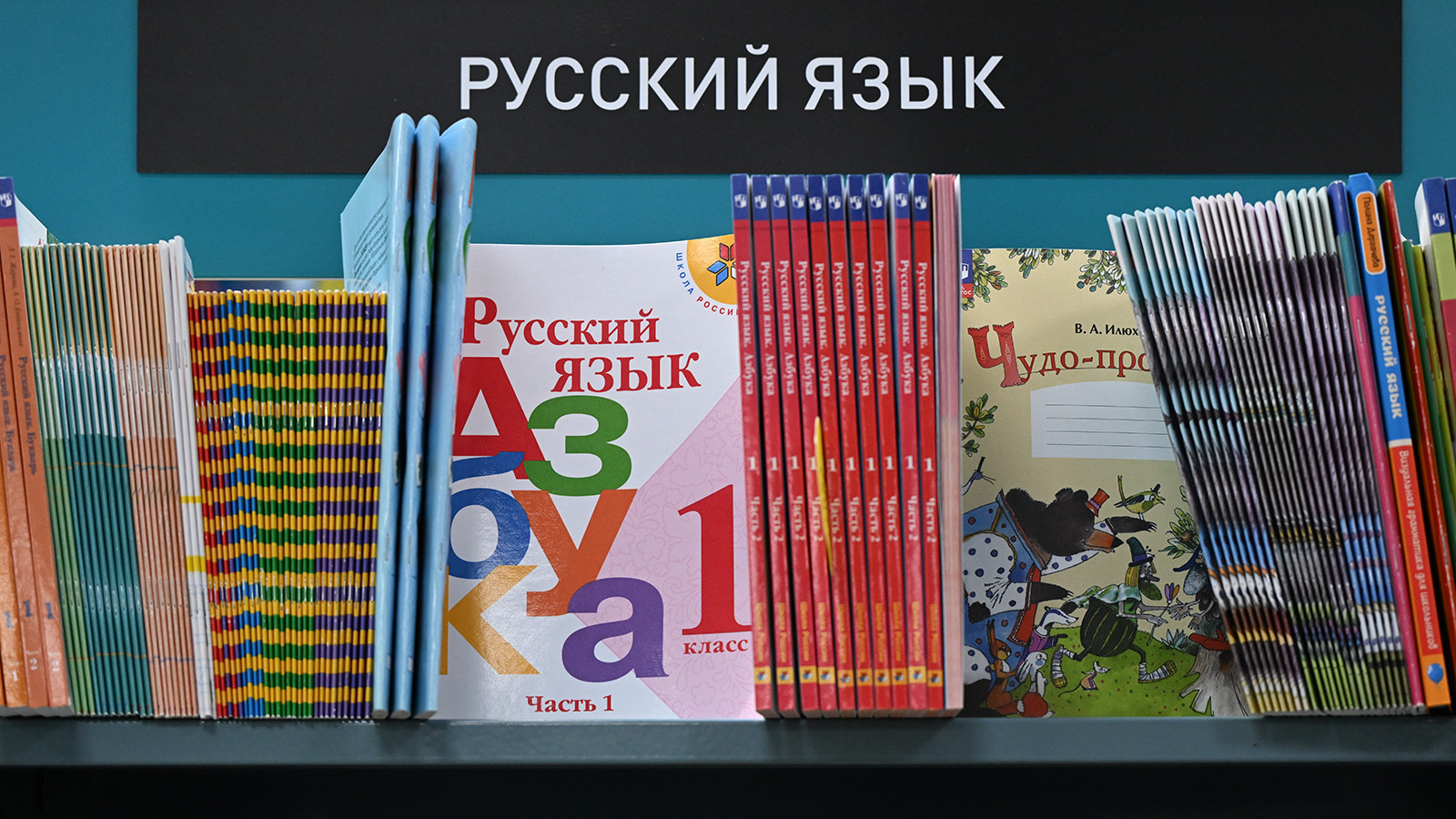 В ГД предложили освободить от теста по русскому языку детей мигрантов