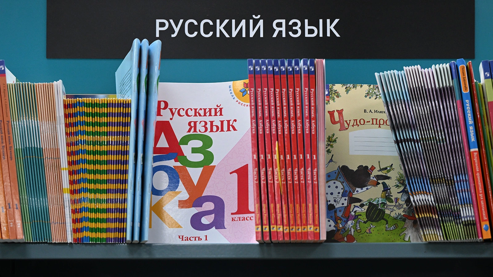 В ГД предложили освободить от теста по русскому языку детей мигрантов