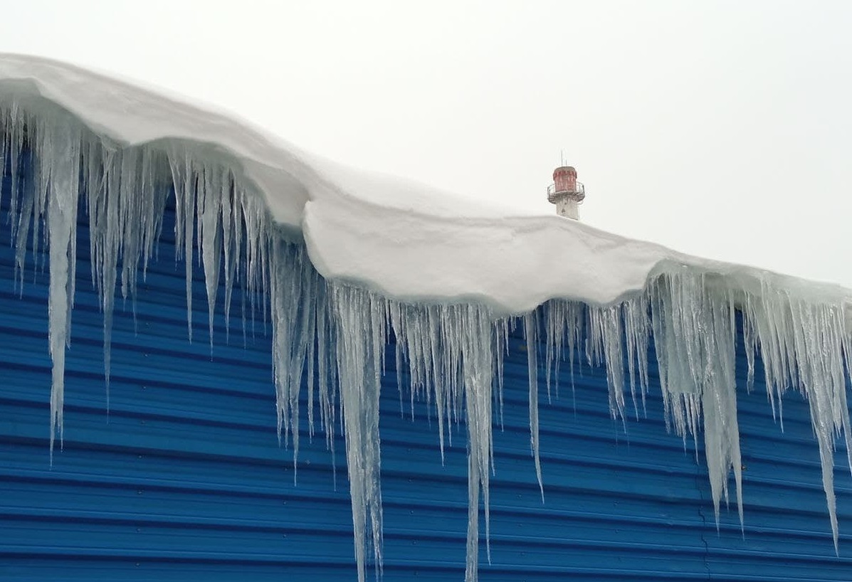 Фото: РБК Новосибирск