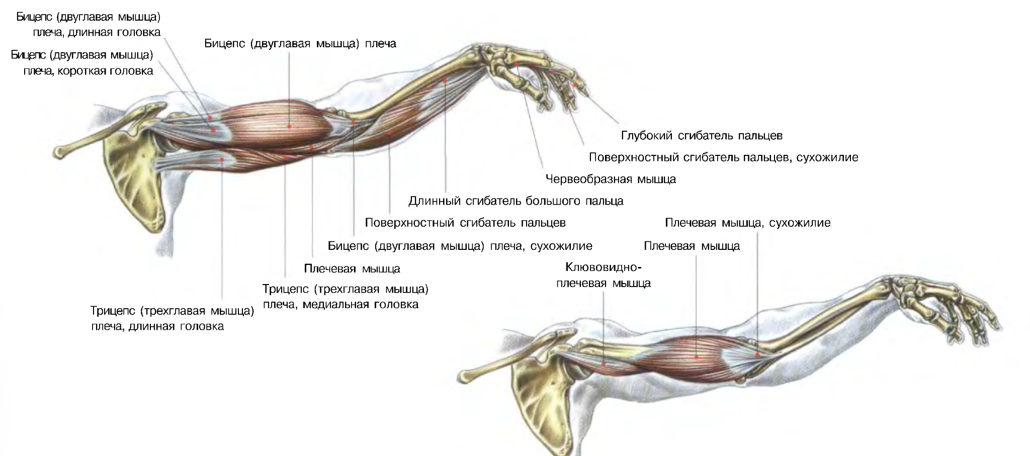 Основные принципы джаза