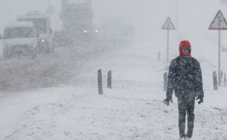 Эрик Романенко / ТАСС