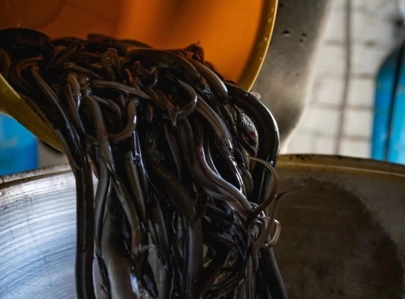 пресс-служба регионального агентства по рыболовству