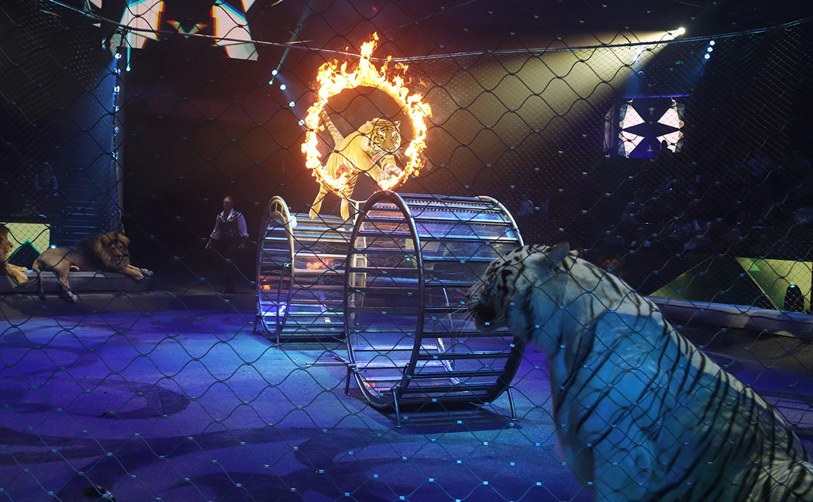 Екатерина Цветкова / Global Look Press