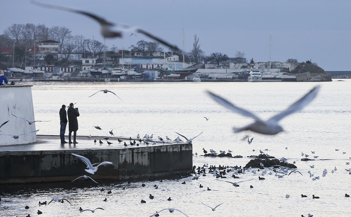 Сергей Мальгавко / ТАСС