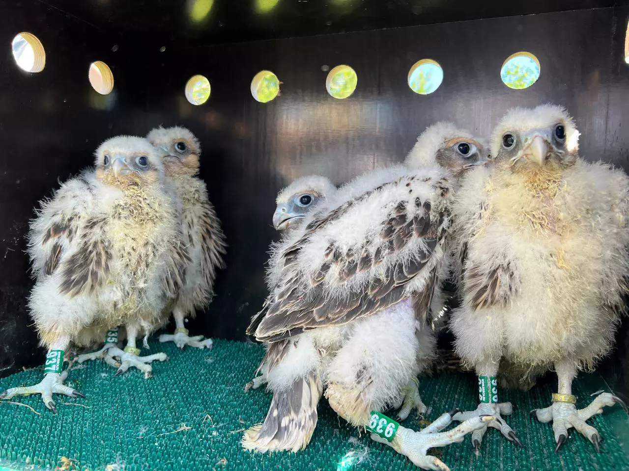 РБК Татарстан