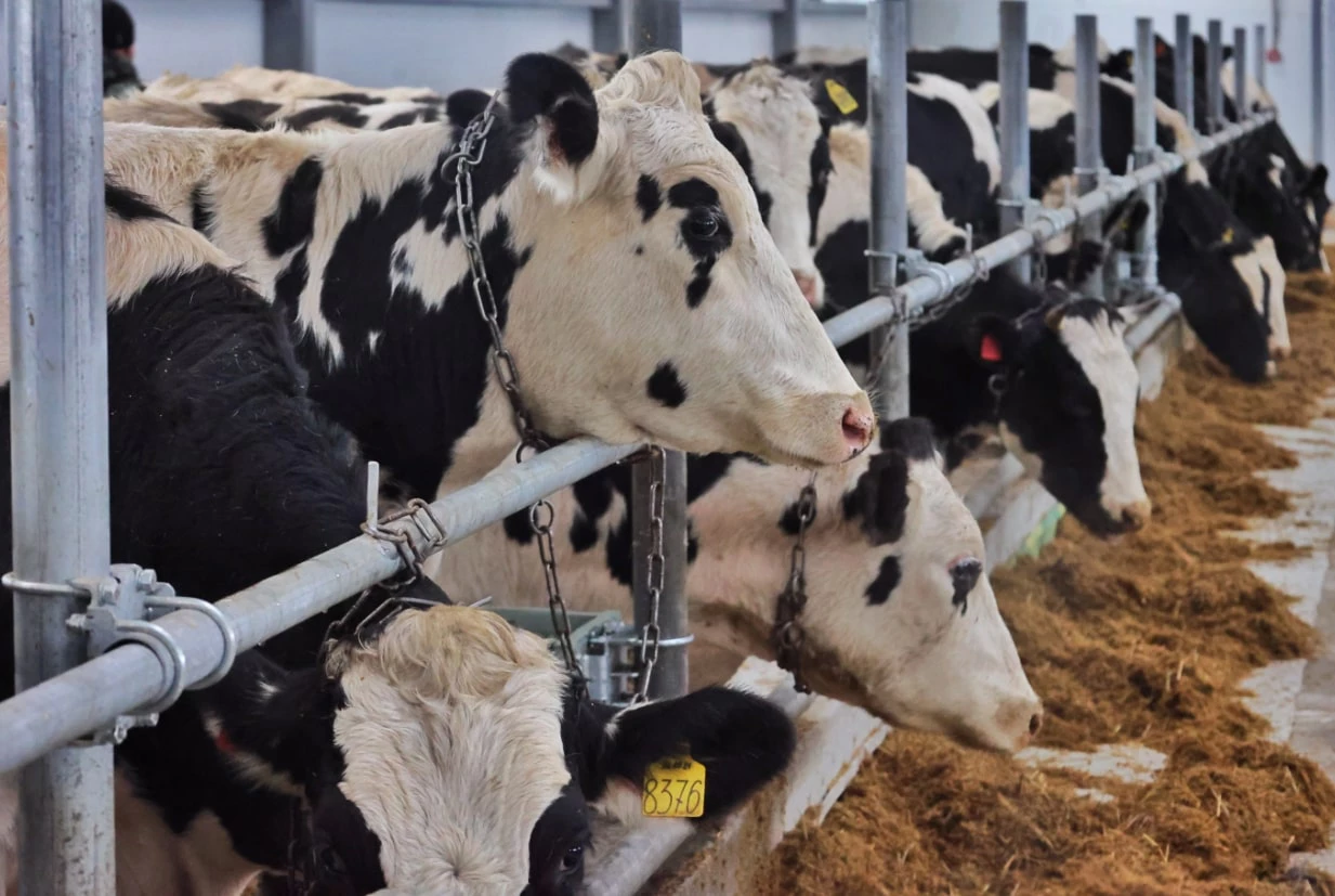 Екатерина Сычкова / URA.RU