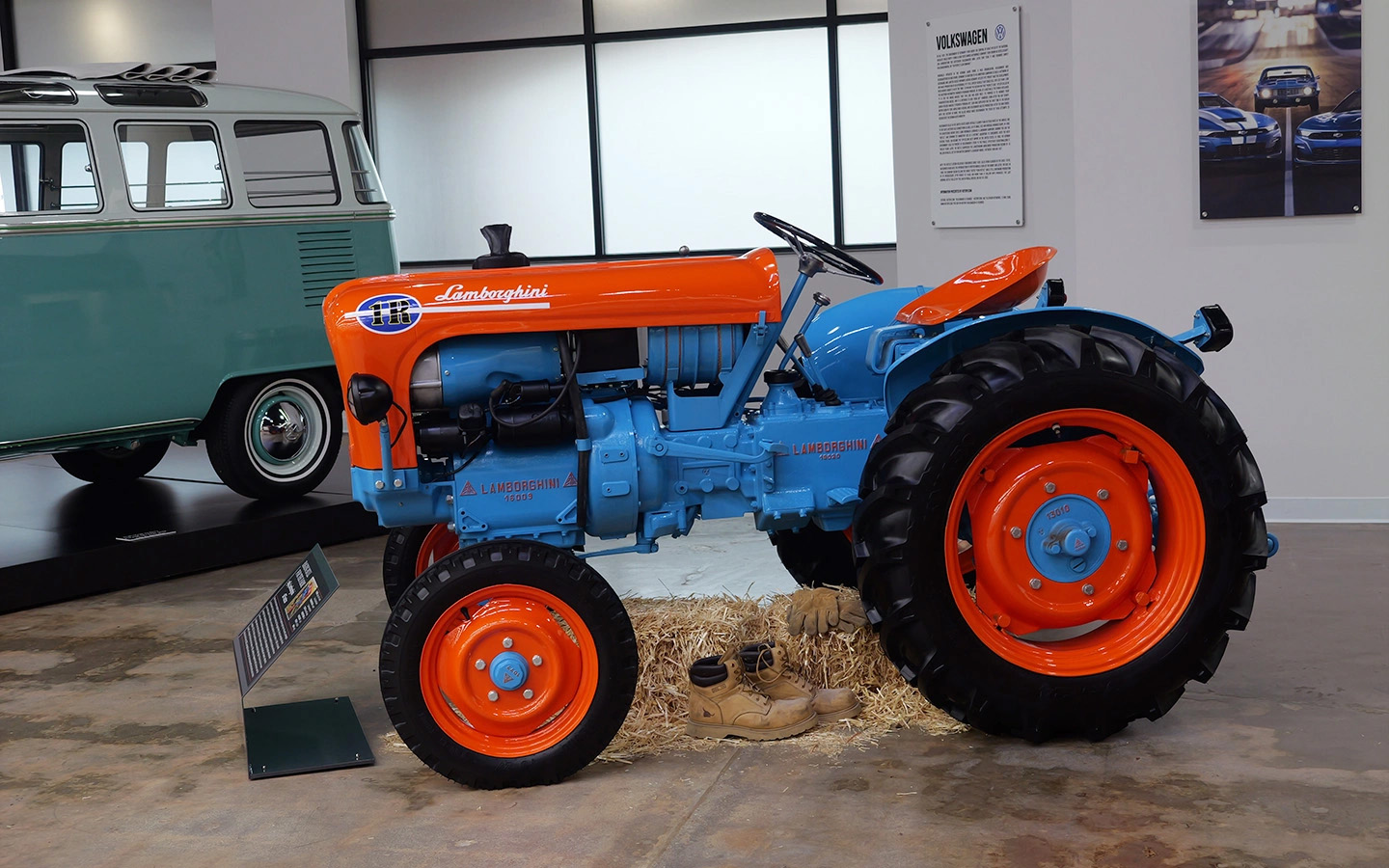 Фото: Matt Fowler KC / Shutterstock / FOTODOM