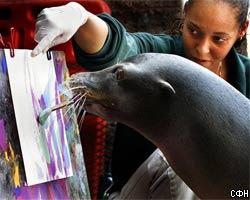 Морской котик рисует картины 