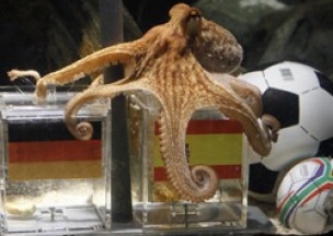 В Германии открывается мавзолей осьминога Пауля