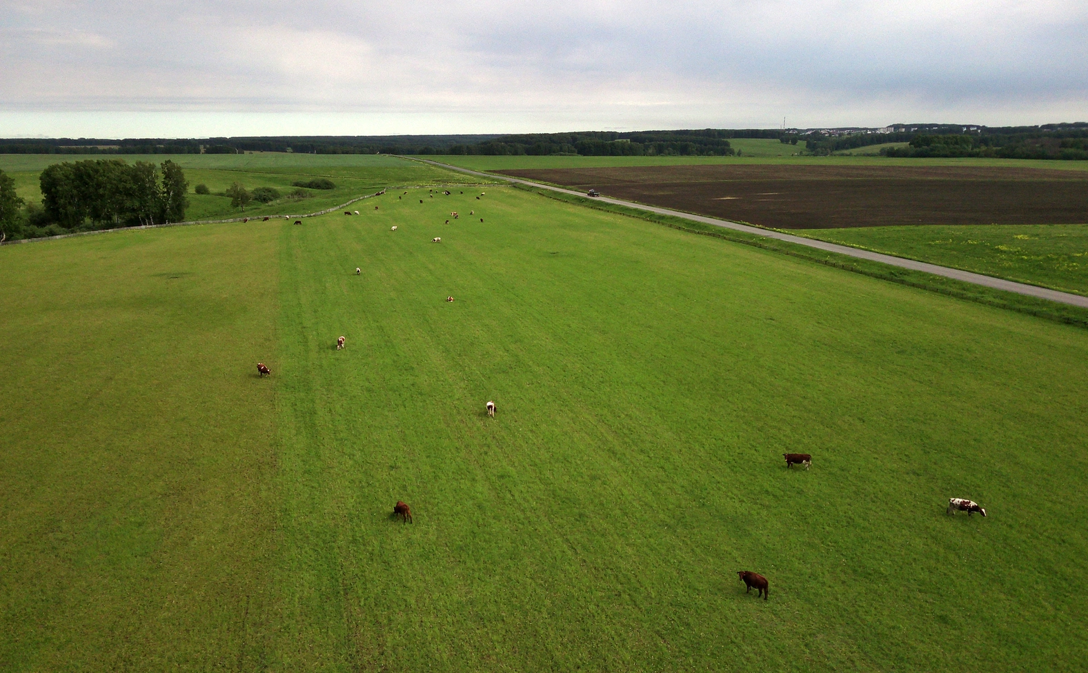 Максим Киселев / ТАСС