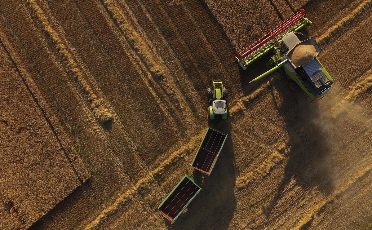 Sean Gallup / Getty Images 