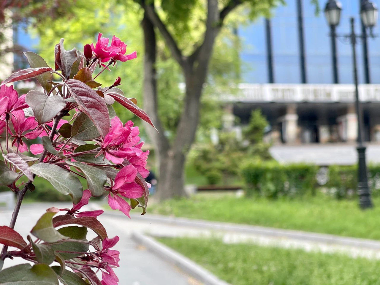 РБК Приморье