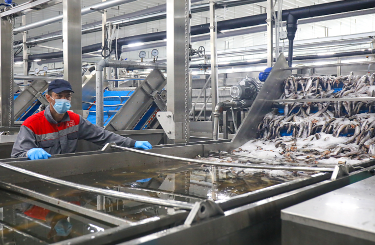 Правительство Приморского края