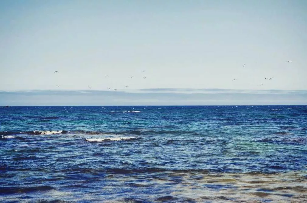 РБК Приморье