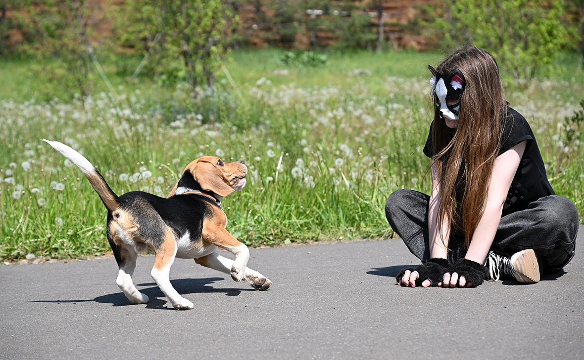 Максим Богодвид / РИА Новости