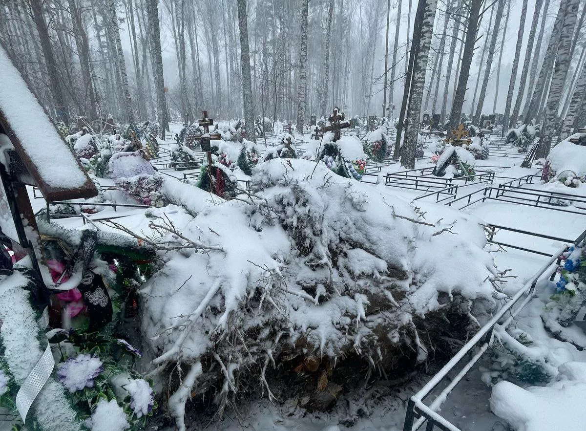 Управление СК по Новосибирской области