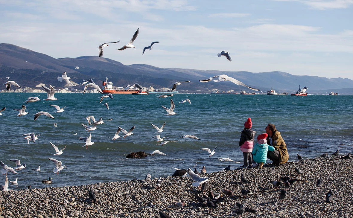 Виталий Тимкив / РИА Новости