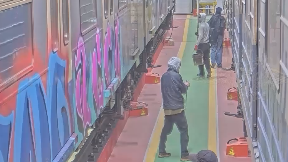 В Москве задержали раскрасивших вагоны метро граффитчиков