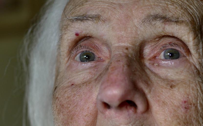 Фото: Shutterstock