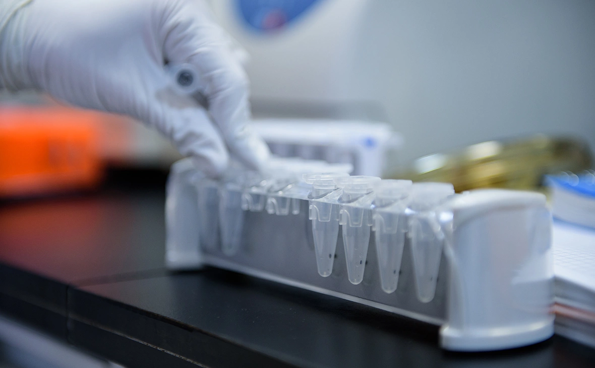 Екатерина Кузьмина / РБК