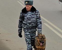 В Ленобласти сбежал от следствия полицейский, проходящий по делу об избиении задержанного