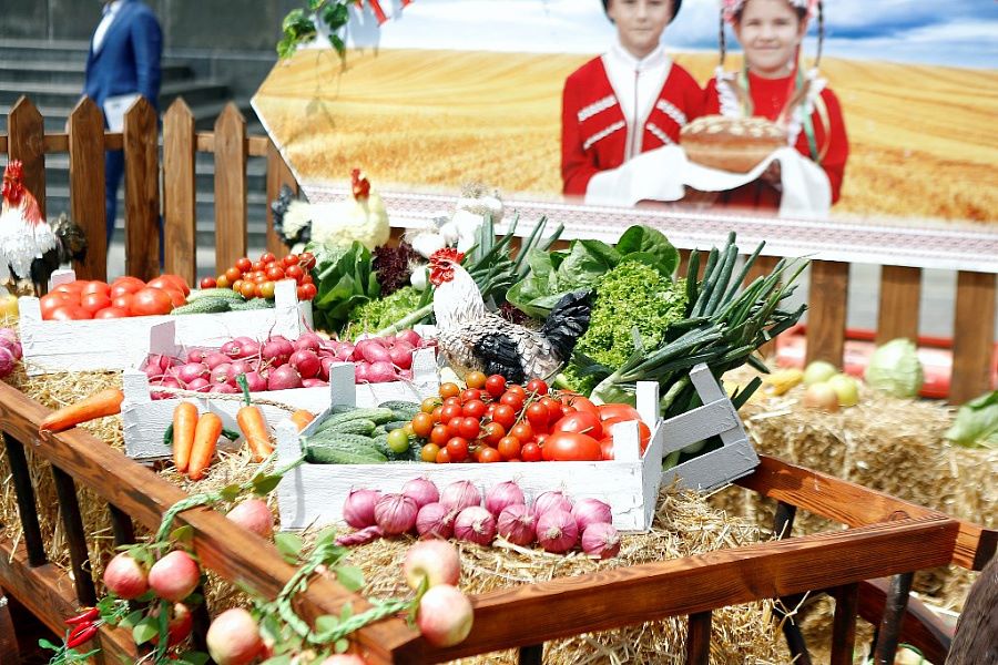 Фото: admkrai.krasnodar.ru