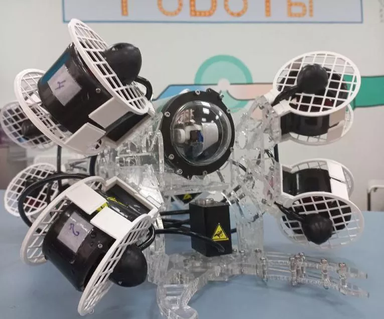 пресс-служба правительства Новосибирской области