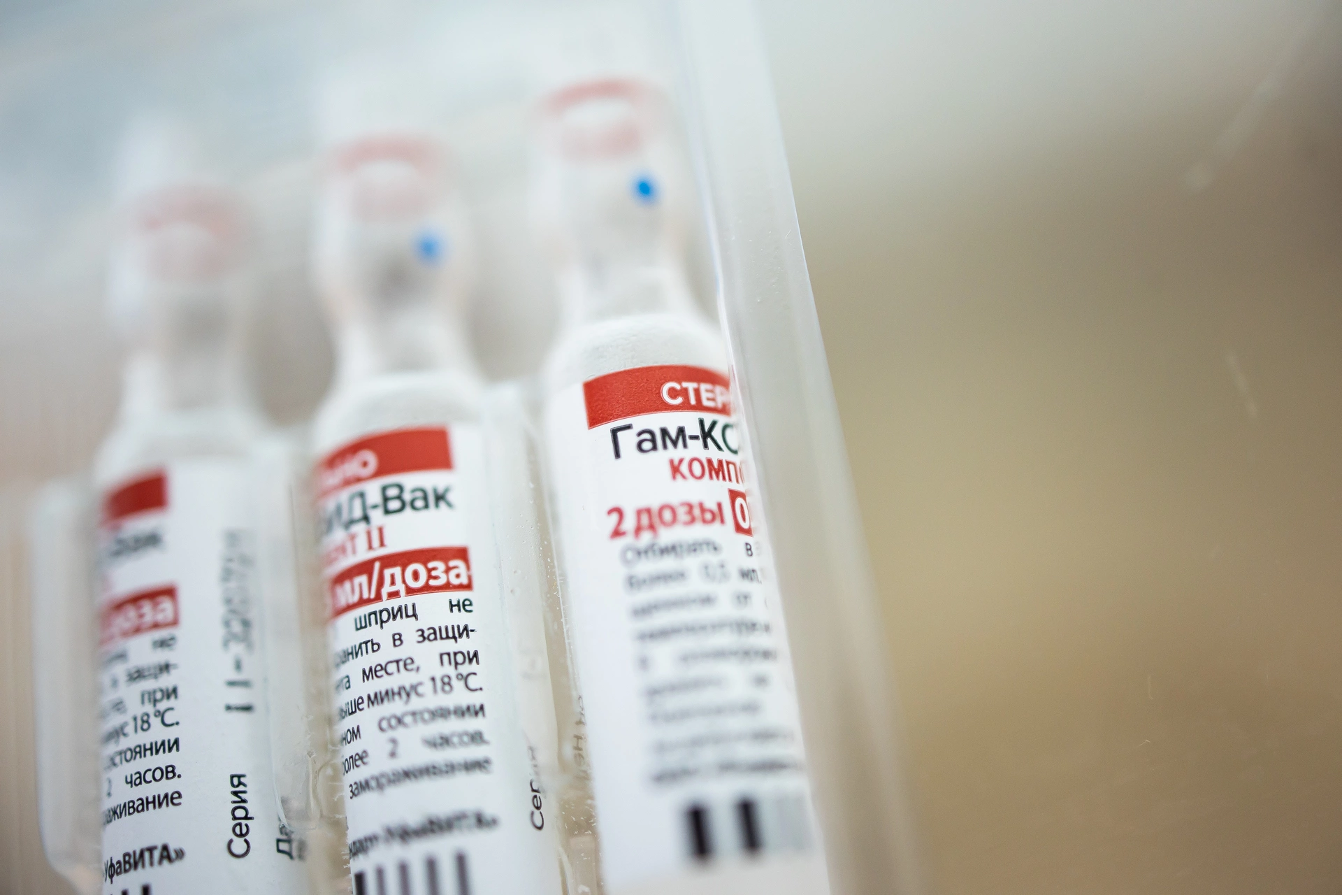 Александр Подгорчук