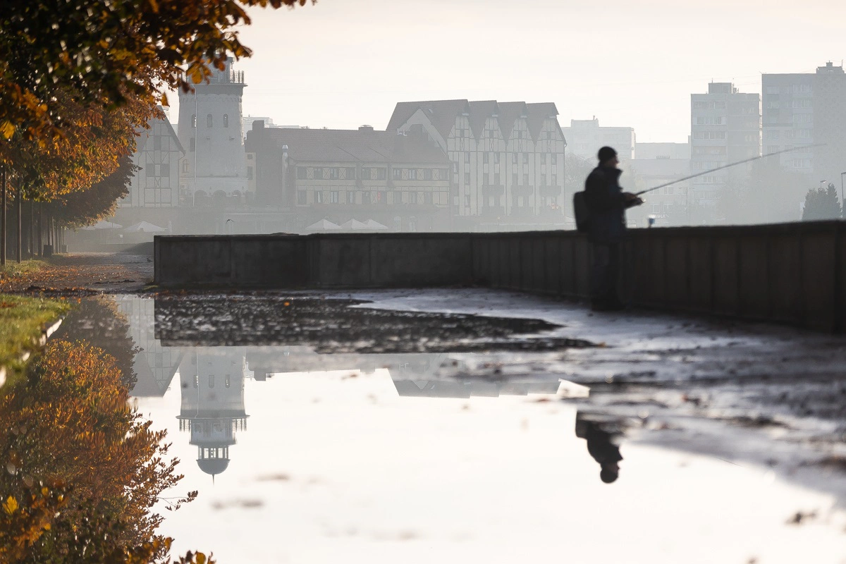 Александр Подгорчук