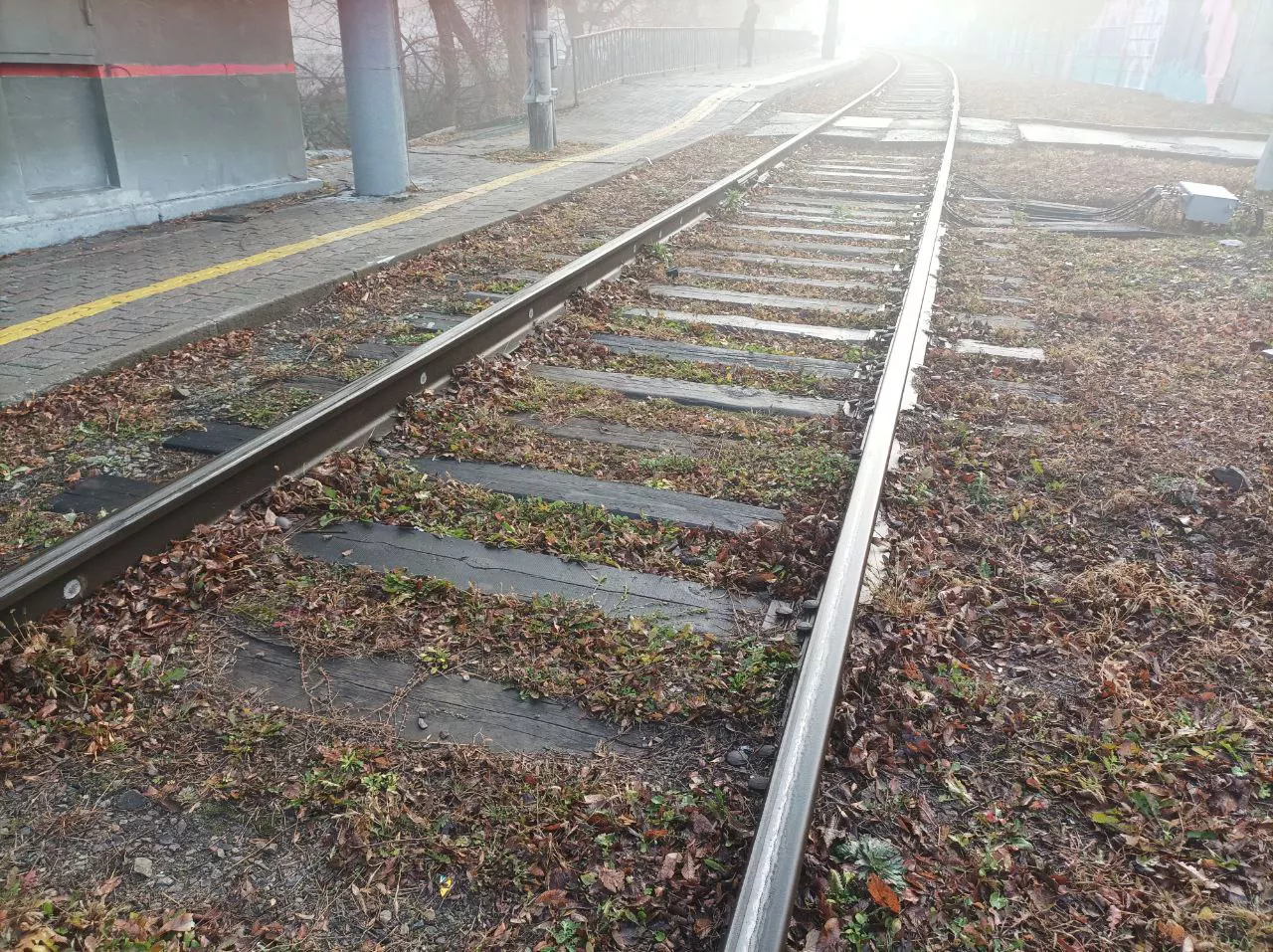 РБК Приморье