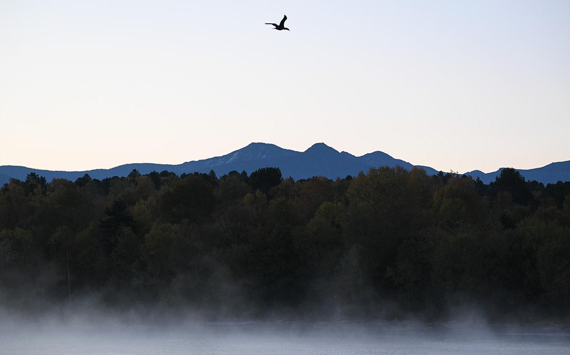 В Думе предложили дату второго чтения законопроекта о рубках на Байкале