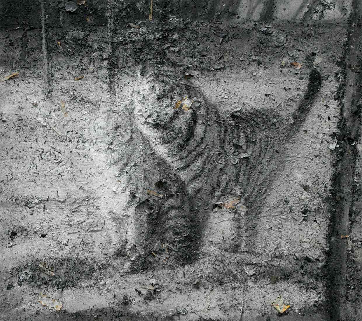 Чжан Хуань. &laquo;Свободные тигры возвращаются в горы, No 12&raquo;, 2010
